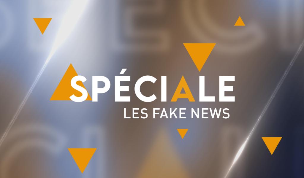 Spéciale - Education aux médias - Fake news !