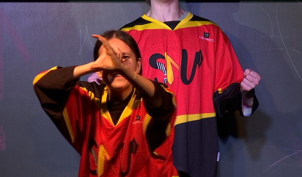 Mons : 24h d'impro avec les Dragonflés