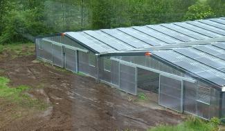 Obourg : Une serre du projet GrewFarm installée à la Cour des Dames