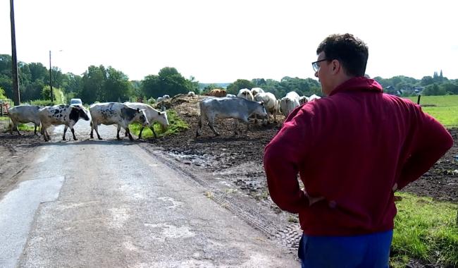 Dour : L'agriculteur Bernard Broeckaert participe au documentaire " Intensif "