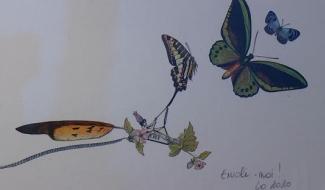 Mons - Une expo qui annonce le printemps