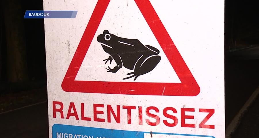 Baudour : une action de sensibilisation à la présence des batraciens et des volontaires sur les routes.