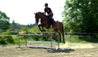 Festival équestre de Ghlin : à la rencontre de Sébastien Deliener