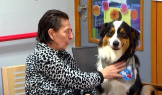 Frameries - Tao, le chien médiateur