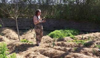 Sars-la-Bruyère : découverte de la permaculture à l’îlot jardin