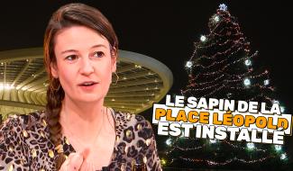 Le sapin de Noël de la place Léopold