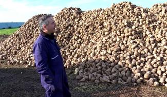 Colère des agriculteurs : Philippe dénonce l'accord Mercosur