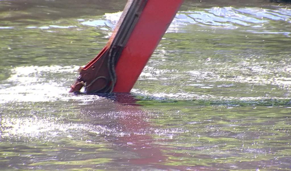 Obourg Une serre du projet GrewFarm installée à la Cour des Dames