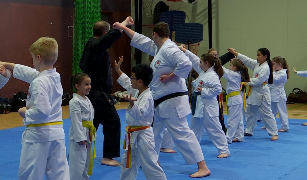 Arts martiaux : la 2e édition du "Stage du Cœur" réunit 80 participants !