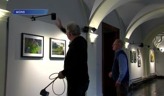 "Jardins privés de l'intra-muros" : La biodiversité montoise au coeur des jardins