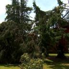 Honnelles : la commune se reconstruit après les orages de ce week-end
