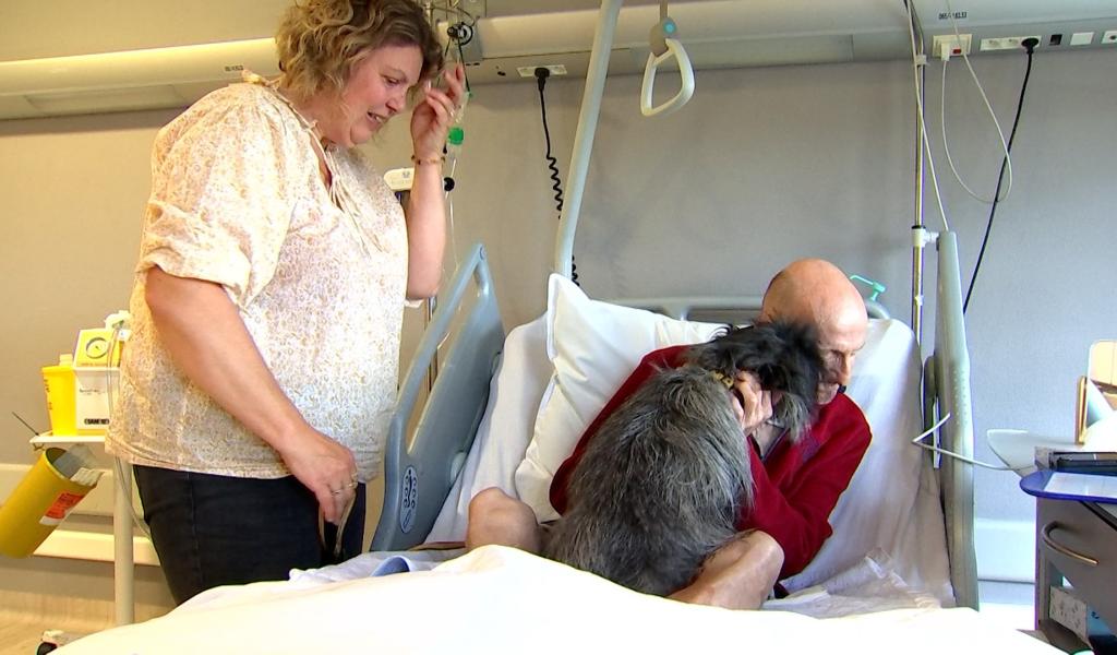 CHU HELORA : La médiation canine s'invite dans l'unité de soins palliatifs