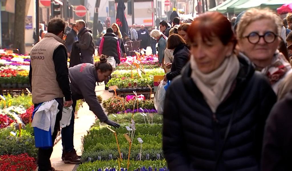 403e Ducasse de Messines : un marché aux fleurs entre tradition locale et réalité mondiale