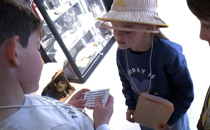 Curiosa : plongez dans un cabinet de curiosités immersif à Boussu