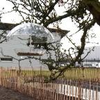 Mons - De la biodiversité dans les zonings