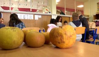 Ils ont croqué local!