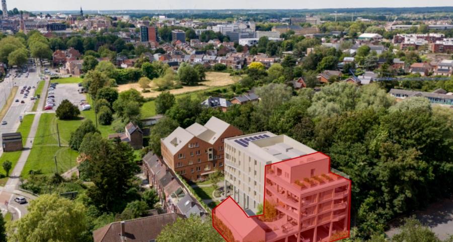 UniHive, le projet qui mêle kots étudiants et logements adaptés à Mons