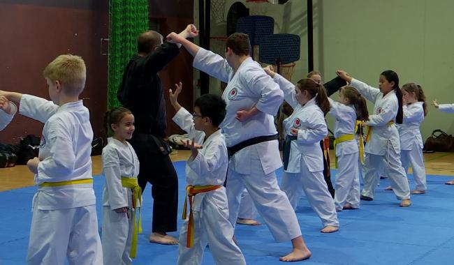 Arts martiaux : la 2e édition du "Stage du Cœur" réunit 80 participants !