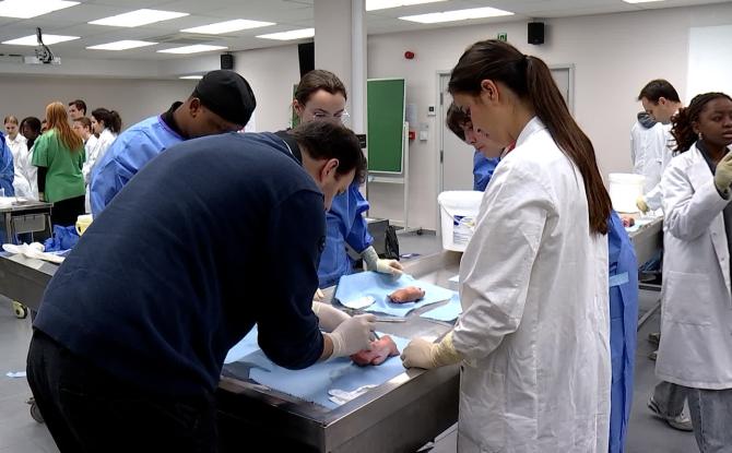 UMons : une matinée pour apprendre les gestes pratiques en chirurgie