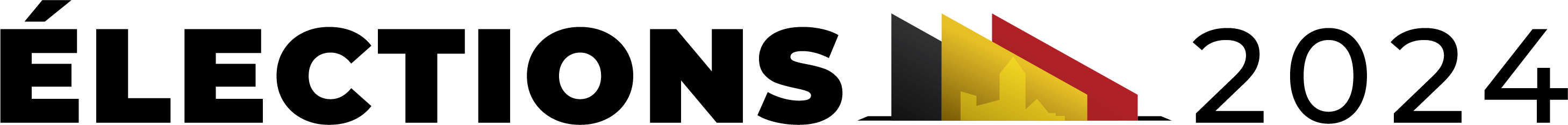 Elections 2024 Logo