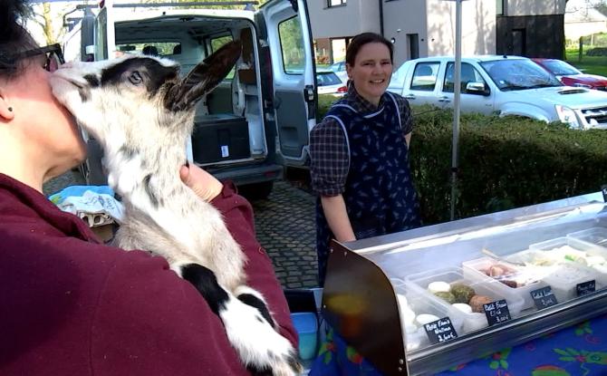 Quévy : la Chèvrerie des Cerisiers obtient une médaille d’or pour son fromage frais