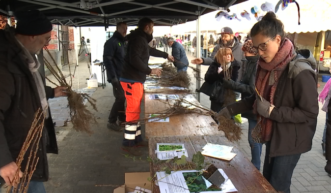 Semaine de l'arbre : Frameries distribue des plants et des semences gratuitement pour une meilleure biodiversité locale