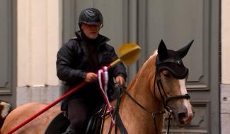 Falco, le nouveau destrier de Saint-Georges