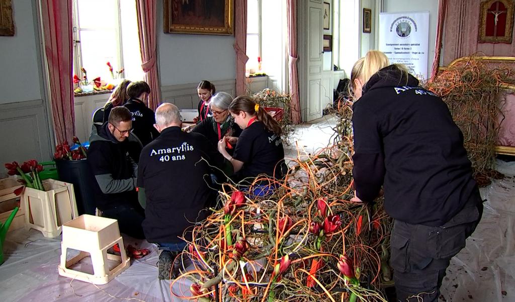 Beloeil - Nos écoles participent au concours Amaryllis