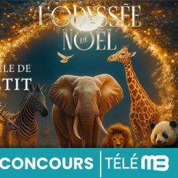 Gagnez des entrées pour le spectacle de Luc Petit : "L’Odyssée de Noël"