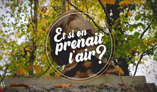 Et si on prenait l'air - La littérature montoise