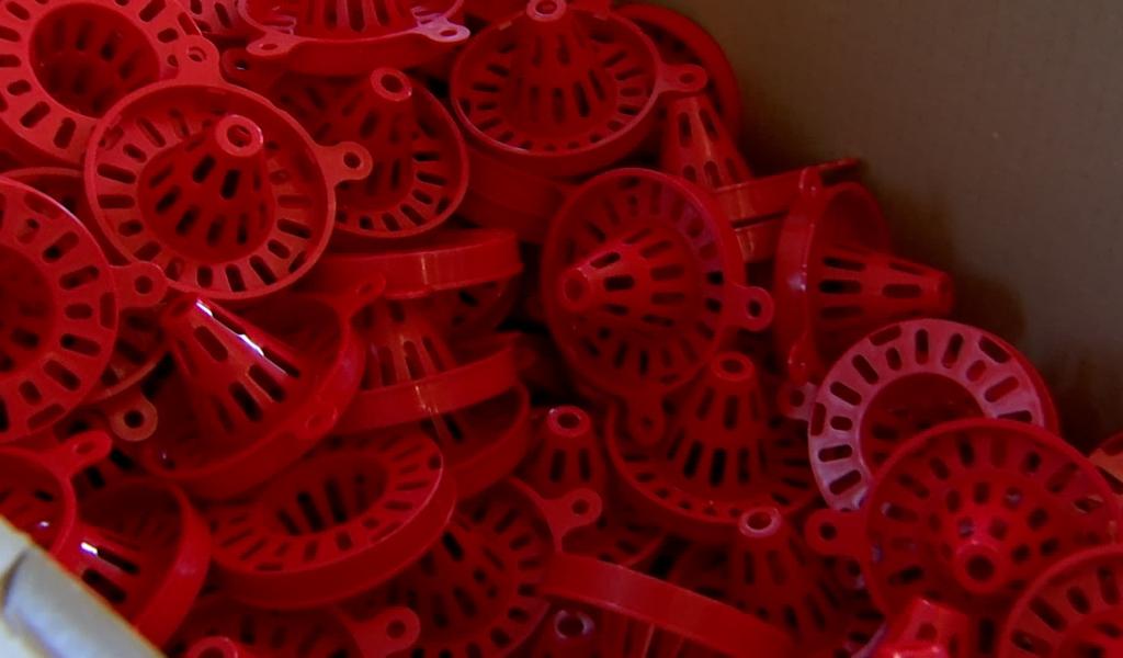 Distribution gratuite de pièges pour frelons asiatiques à Honnelles à l'approche du printemps