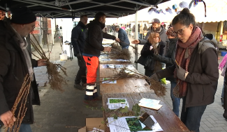 Semaine de l'arbre : Frameries distribue des plants et des semences gratuitement pour une meilleure biodiversité locale