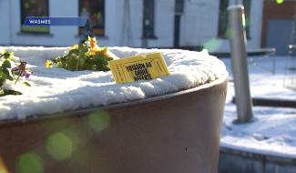 Wasmes : Rachel organise une chasse aux tickets d’or pour faire connaître son nouveau commerce