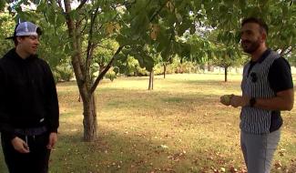 Farid invite écoles et associations à venir cueillir des pommes dans son jardin !