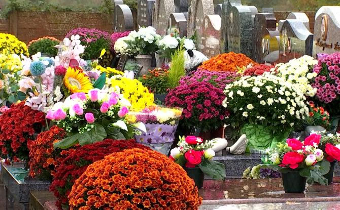 Fleurs et souvenirs : les cimetières s’illuminent pendant la Toussaint