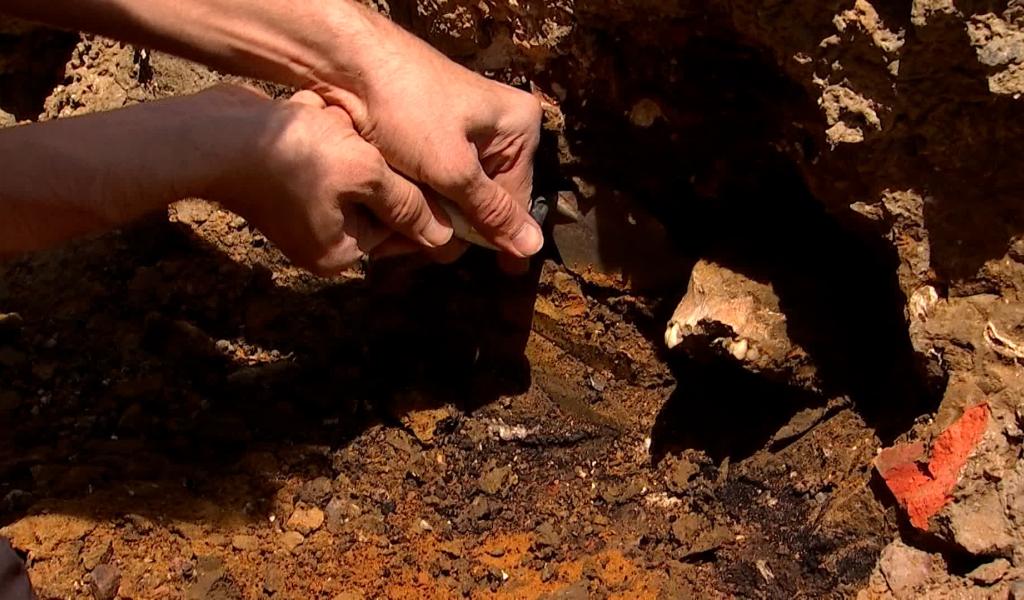 Hornu : des ossements humains découverts lors de fouilles archéologiques sur le chantier du centre-ville