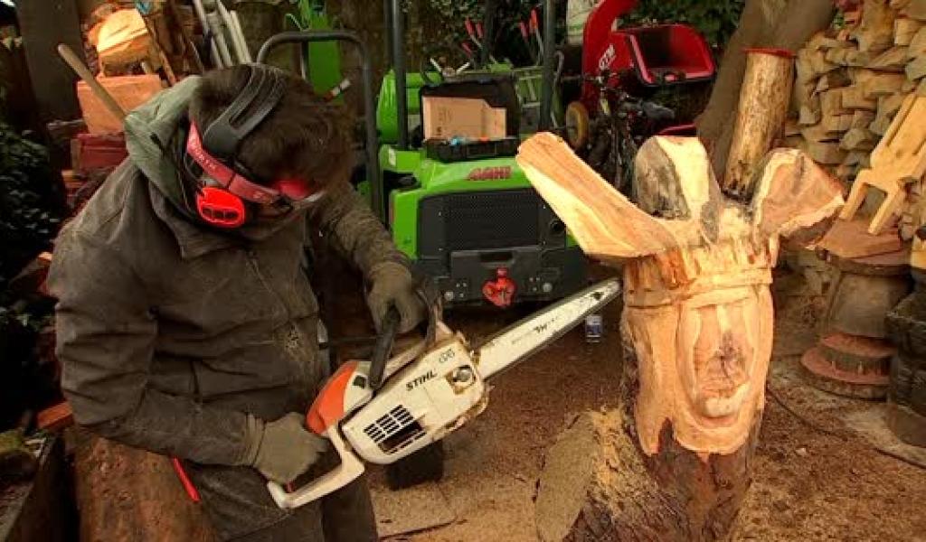 Hautrage - Un jeune élagueur crée des sculptures sur bois à la tronçonneuse