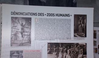 Mons - Une exposition sur les zoos humains et l'invention du sauvage