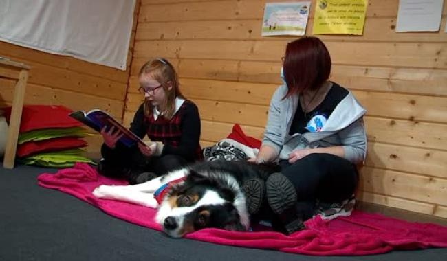 Mons -Un chien aide les enfants à la lecture ! 